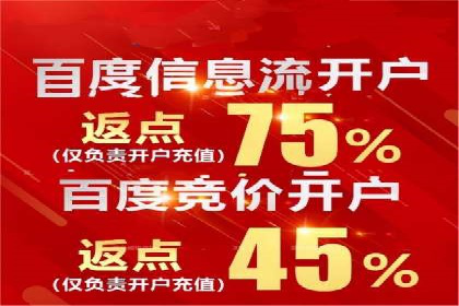 关键词竞价排名实战案例分析及优化